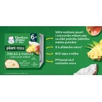 Gerber Bio 100% Gemüse Apfel und Ananas Dessert mit Kokosmilch Stück 4 x 90 g