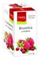 Apotheke Premier Selection Cranberry- und Himbeer-Teebeutel 20 x 2 g