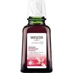 Weleda Mundspülung 50 ml