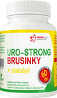 Nutricius Uro-strong Cranberry + Goldrute 60 Tabletten