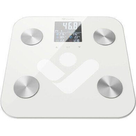 Báscula personal TrueLife FitScale W6 BT Bluetooth