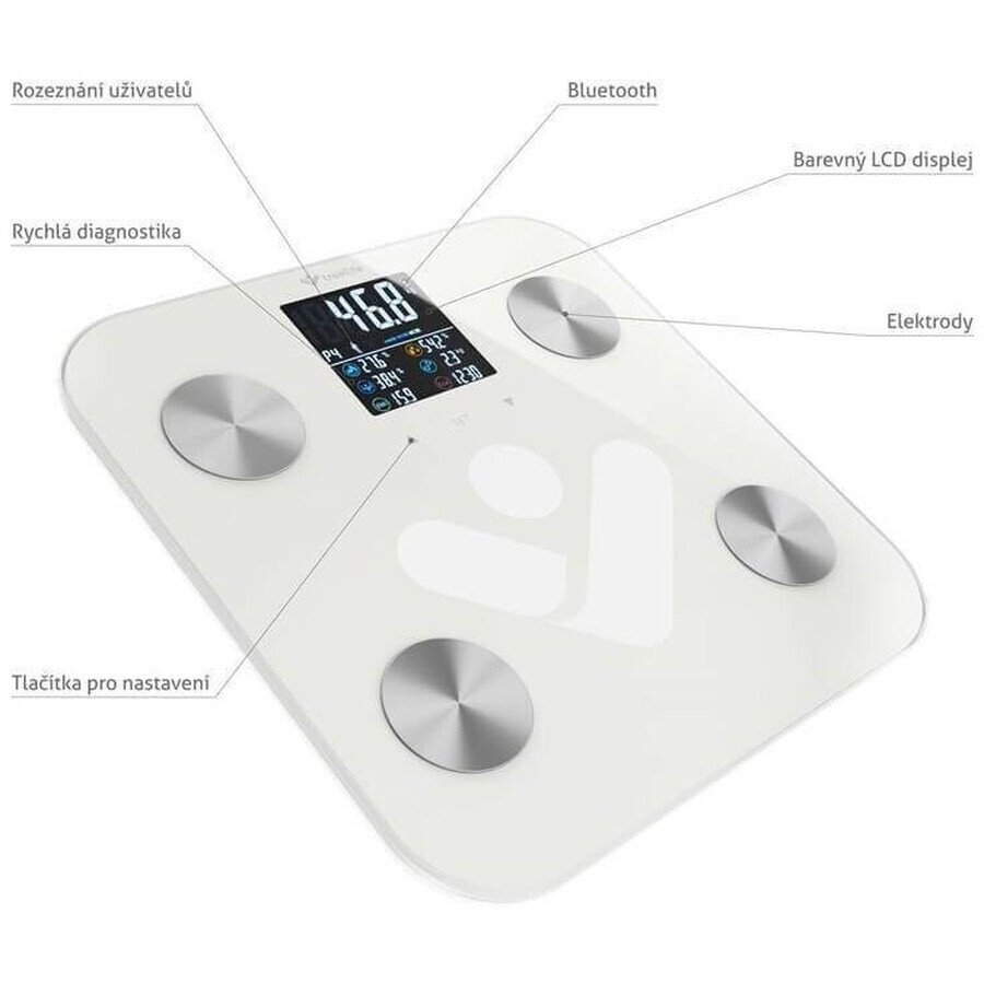 Báscula personal TrueLife FitScale W6 BT Bluetooth