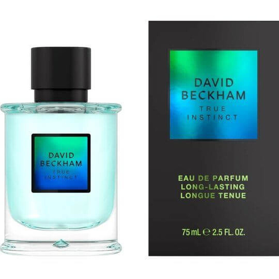 David Beckham Wahre Instinkte EdP 75 ml