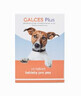 Galces f&#252;r Hunde 10 Tabletten