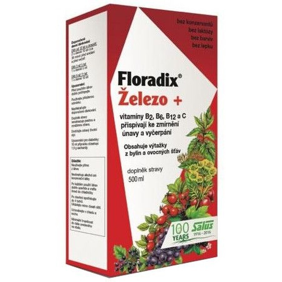 Salus Floradix Eisen - flüssig 500 ml