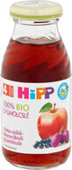 HiPP Apfel-, Trauben- und schwarzer Johannisbeersaft 200 ml