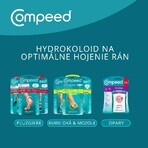 Compeed Blisterpflaster-Mix 5 Stück