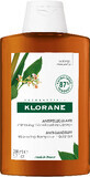 Klorane Anti-Schuppen-Shampoo mit Galgant 200 ml