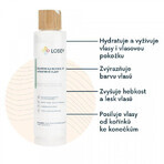 Lobey Shampoo für normales und coloriertes Haar 200 ml