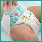 Pampers Active Baby MP+ S5 (11-16 kg) 110 Stück