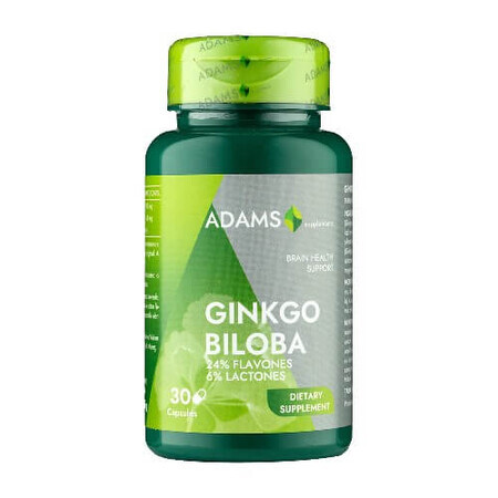 Ginkgo biloba, 30 capsules, Adams Supplementen