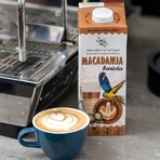 Barista Macadamia-Nuss-Getränk, 1 Liter, Macadamia