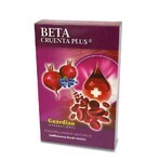 Beta Cruenta Plus - Rote Bete mit Aronia 1kg, Guardian International