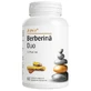 Berberin Duo mit Piperin, 60 pflanzliche Kapseln, Alevia