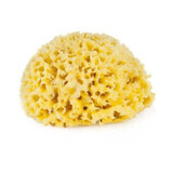 Natural bath sponge no.8, SA8, Honeycomb