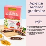 Apielixir Vetverbranding, 30 ampullen, Albina Carpatina