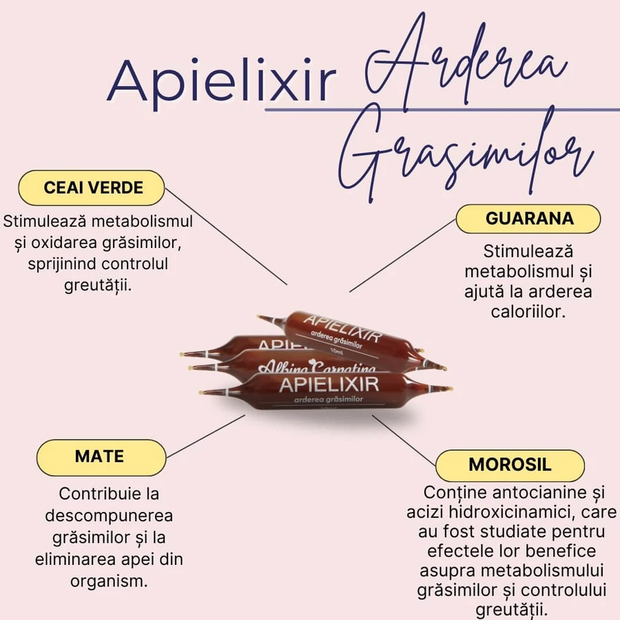 Apielixir Vetverbranding, 30 ampullen, Albina Carpatina