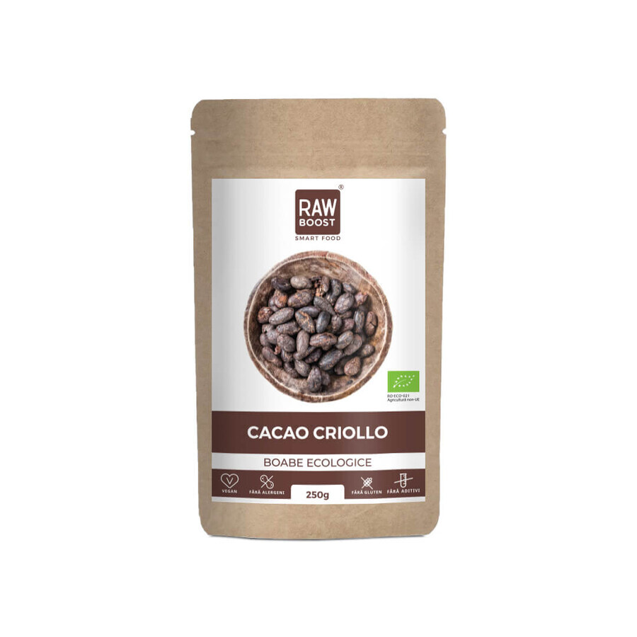 Bio-Kakaobohnen, 250 g, RawBoost