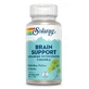Brain Support, 60 Kapseln, Secom