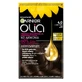Garnier Olia Hair Colour 4.0 Dark Brown (brun foncé)