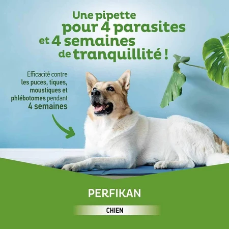 Clement-Thekan Fleas and Ticks Dog 20-40kg 4 Pipettes