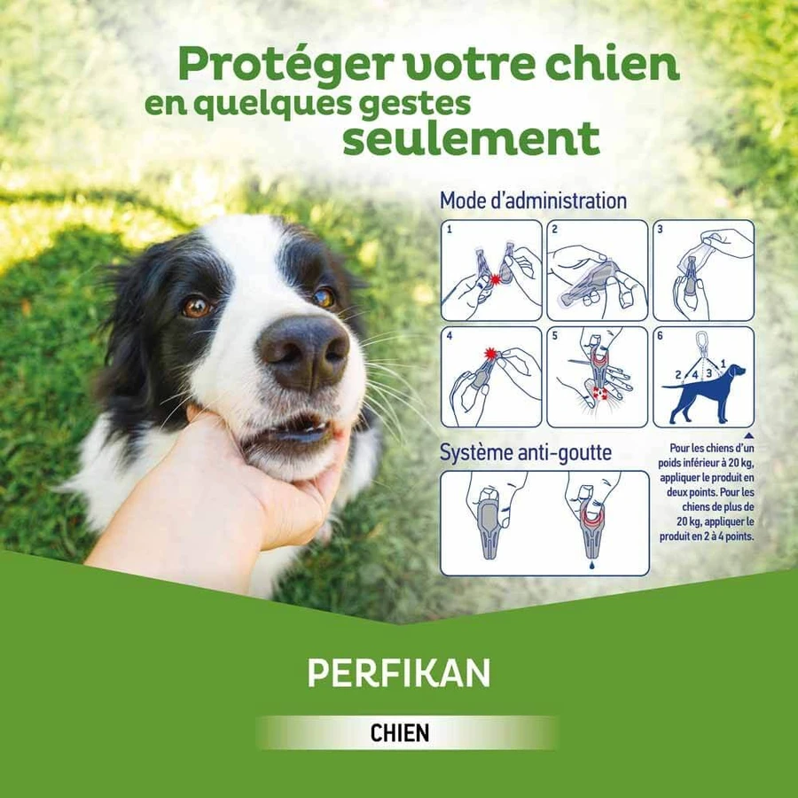 Clement-Thekan Fleas and Ticks Dog 20-40kg 4 Pipettes