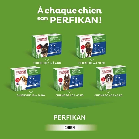 Clement-Thekan Fleas and Ticks Dog 20-40kg 4 Pipettes