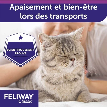 Feliway Classic Spray antystresowy dla kotów Cat 20ml: ceny i cechy
