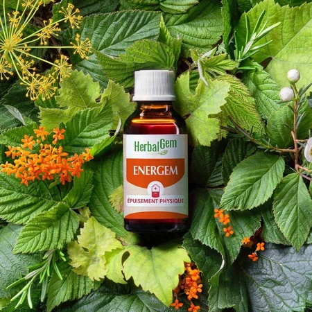Herbalgem Energem Körperliche Erschöpfung Complexes Bio 30ml