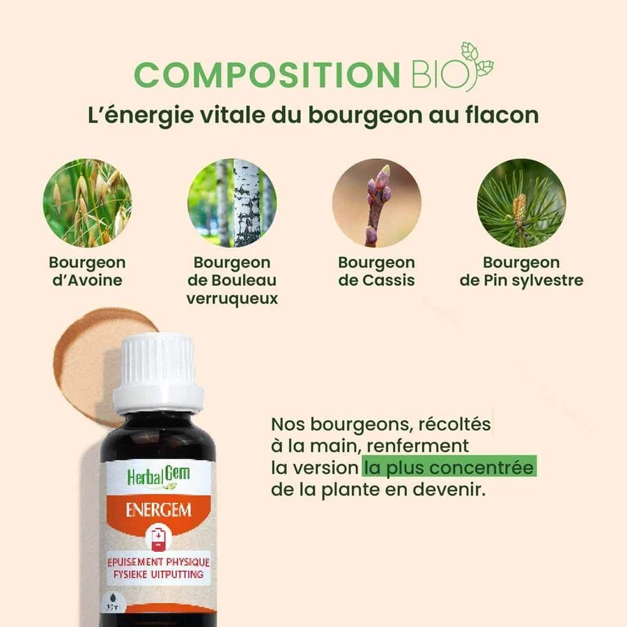 Herbalgem Energem Körperliche Erschöpfung Complexes Bio 30ml