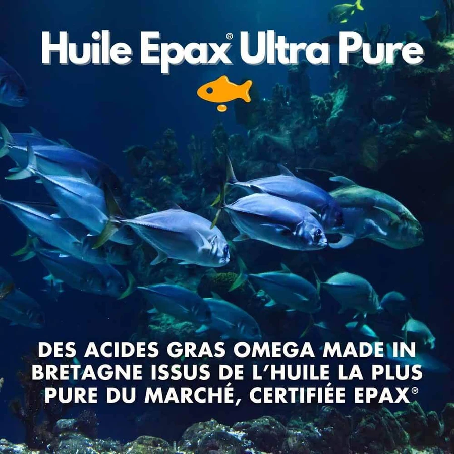 Kotor Pharma Omega 3 Epax Funcția creierului și sănătatea cardiovasculară 60 capsule