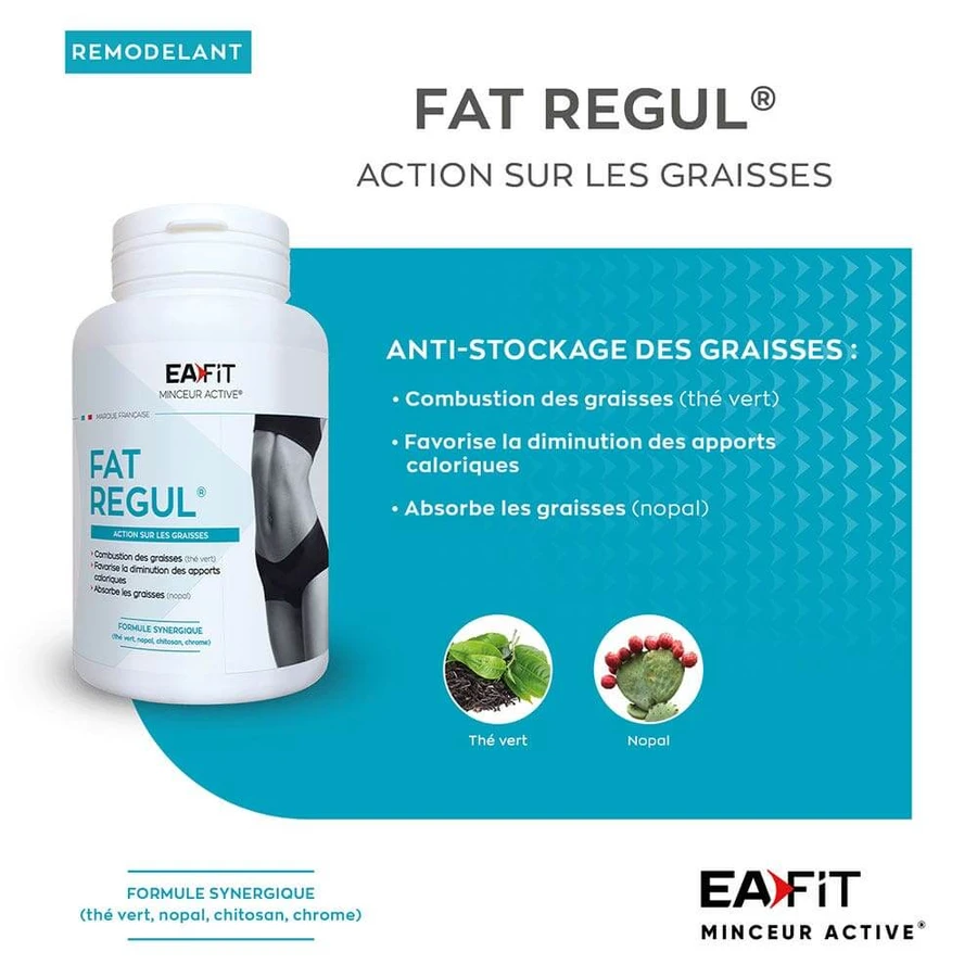 Eafit Fat Regul 90 Tabletten