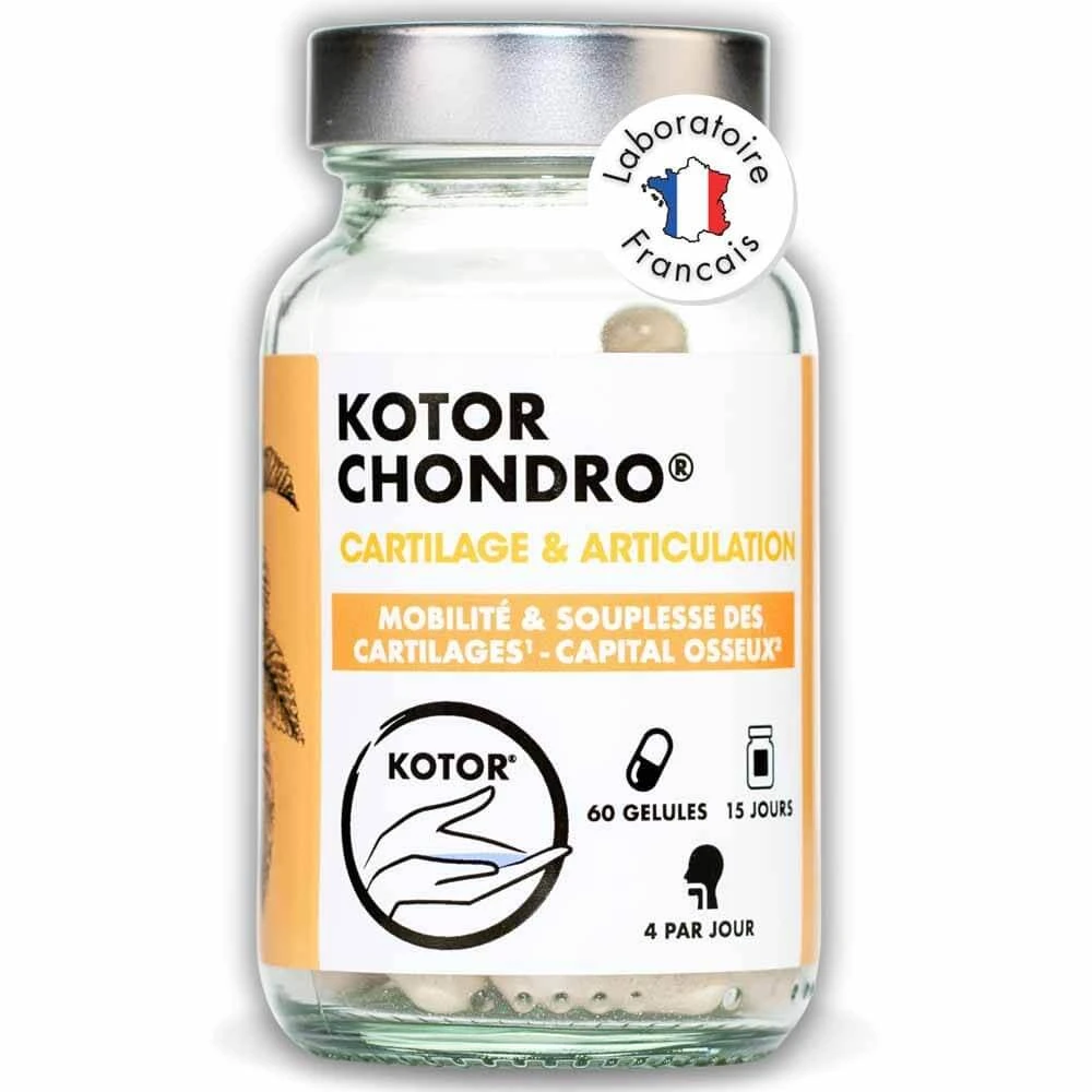 Kotor Pharma Condro Knorpel und Gelenk 60 Kapseln