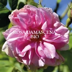 Sanoflore Eaux Florales Bio-Rosenblütenwasser 200ml