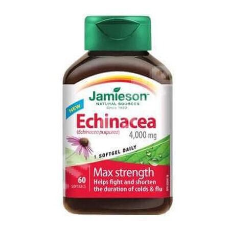 Echinacea 400mg, 60 capsule, Jamieson