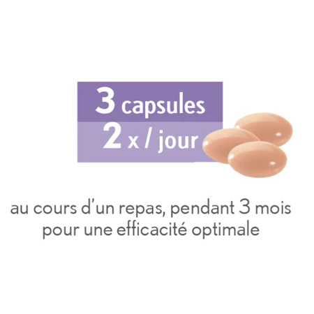 Oenobiol Flat Belly 60 Capsule