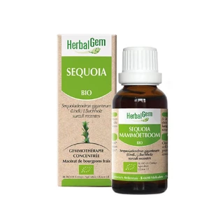 Kräutergarten Sequoia Bio 30ml