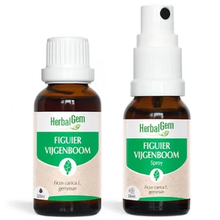 Herbalgem Bourgeons Figuier Bio Lösung Buvable 30ml + Spray 15ml