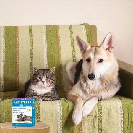 Vetoform Hund und Katze Kräuter-Anti-Stress-Tabletten 20 Tabletten