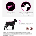 Frontline Tri-act Spot-on Câine 20-40 kg 3 pipete de 4 ml
