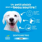 Clement-Thekan Denticare Trio Chewable Strips for dogs 10 to 30 kg 15 strips