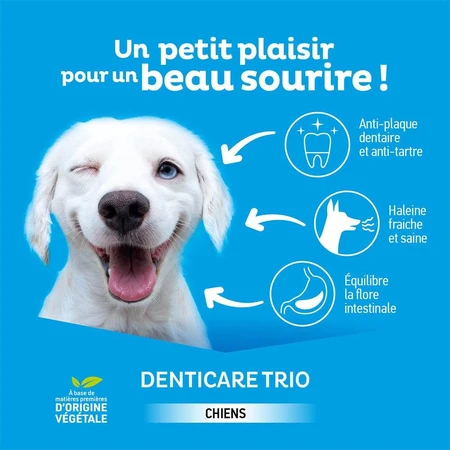 Clement-Thekan Denticare Trio Chewable Strips for dogs 10 to 30 kg 15 strips