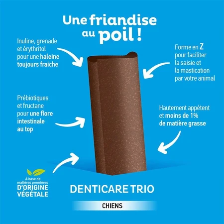 Clement-Thekan Denticare Trio Chewable Strips for dogs 10 to 30 kg 15 strips