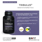 Eafit Tribulus Synthese Testosterone 90comprimes