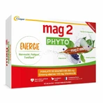 Mag 2 Phyto Energie tónico para el nerviosismo y la fatiga 30 ampollas