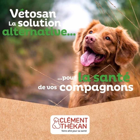 Clement-Thekan Vétosan Anti-worming Dog and Cat 60 Tablets
