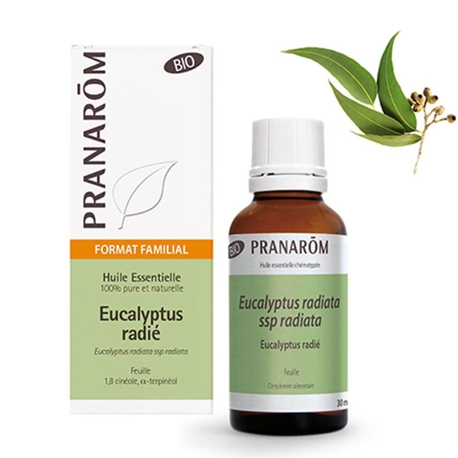 Pranarôm Essential Oils Eucalyptus Radie Organic 30ml: ceny i cechy