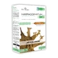 Flora Natura Organic Harpagophytum Articulations 20 fiole