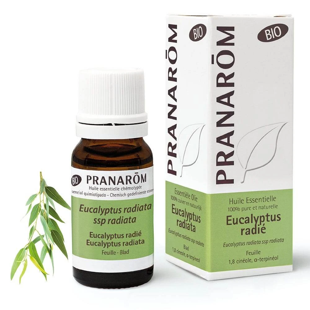 Pranarôm Ätherische Öle Eukalyptus Radie Bio 10ml