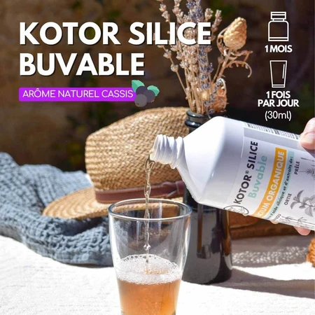 Kotor Pharma Bio-Trink-Silikon 1l